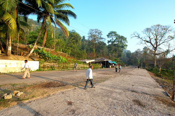 baratang starting forest checkpost