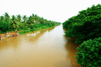 Village view on the way to ryali