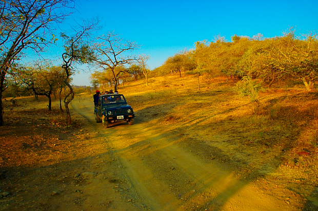 Gir Jeep Safari in morning