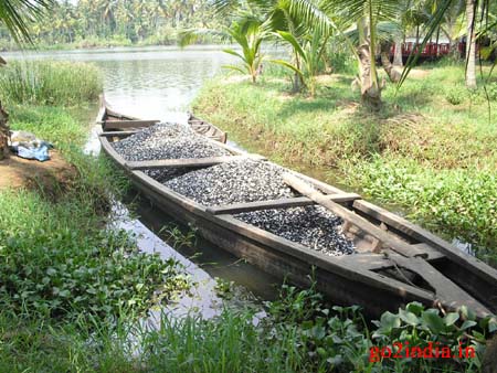 bw7-boat-shell