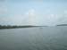 bw4-view