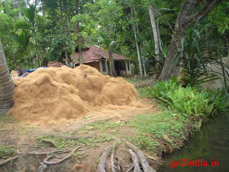 b1-coir-factory
