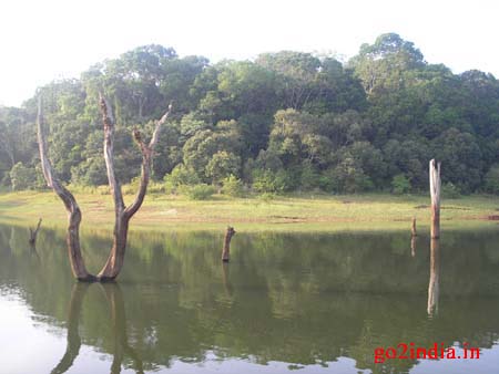 t3-lake-side