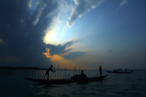 Chilika Lake dolphin watch