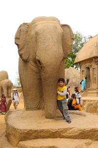 Elephant of Mahabalipuram 