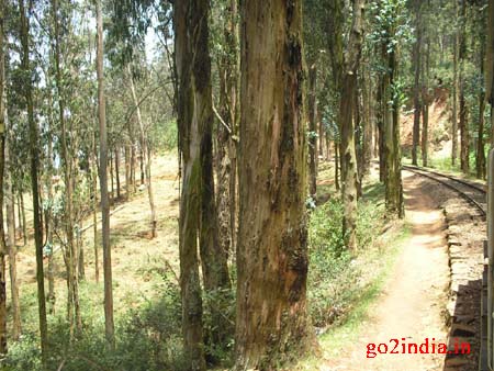 train14-after-coonoor