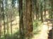 train14-after-coonoor