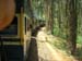 train16-towards-ooty