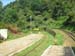 train4-hill-track