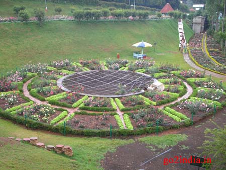 r10-garden