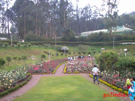 r12-garden