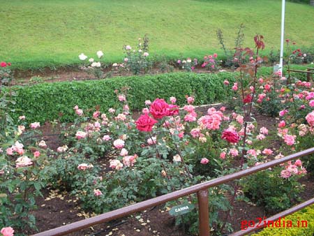 r13-garden