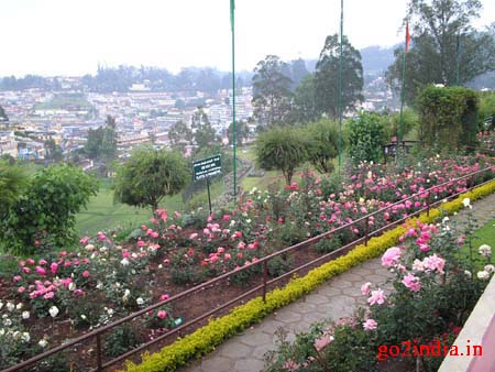 r7-garden