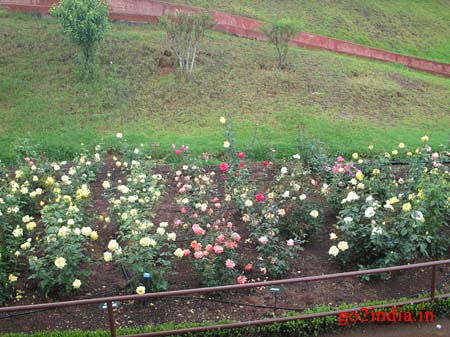 r8-garden