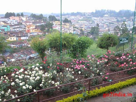 r9-garden