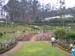 r12-garden