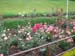 r13-garden