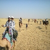 Rural life inside Rajasthan desert