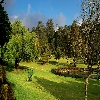 Ooty Botanical Garden