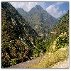 Sarahan - Himachal Pradesh