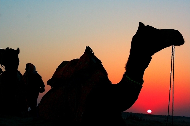 Sunset at Jaisalmer