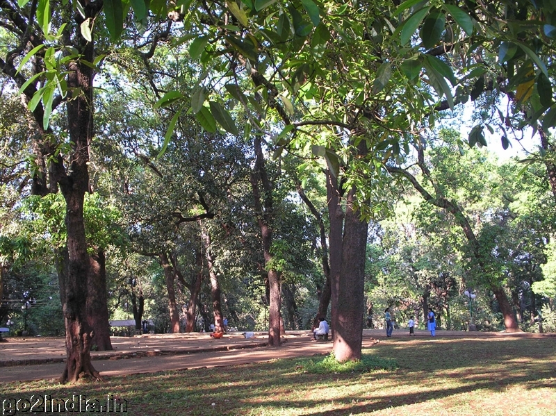 Rye Wood Park at Lonavala