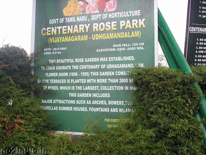 Ooty rose garden