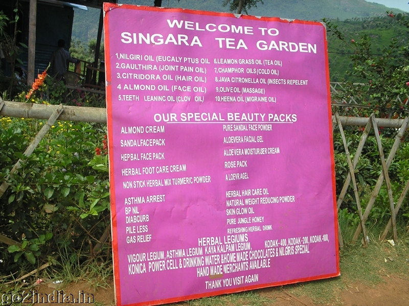 Singar Tea garden at Coonoor