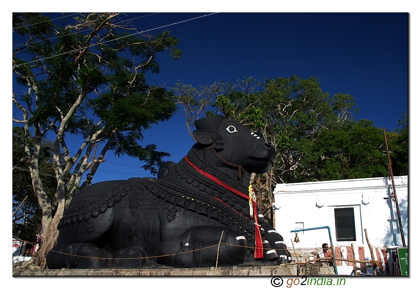 go2india.in Nandi statue in Chamundi hills near Mysore