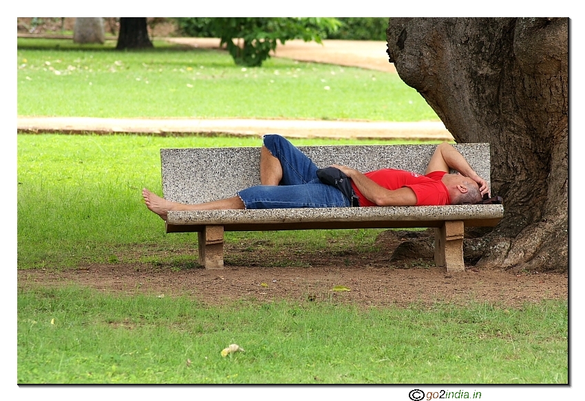 Person sleeping on a bench