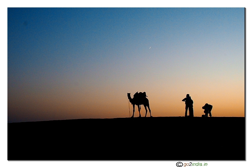 Desert sunset with Camel