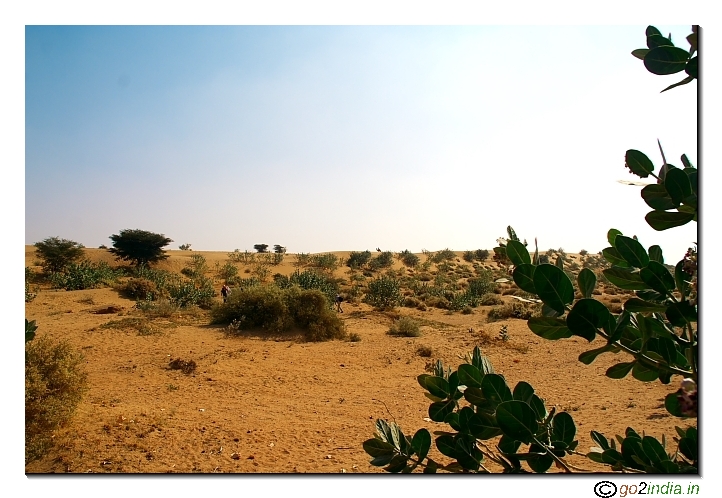 Desert near Jaisalmer