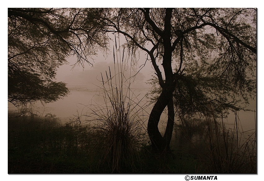 Sultanpur in a misty morning