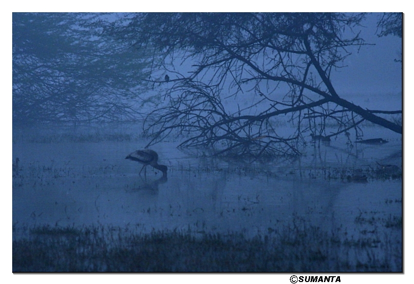 Sultanpur in a misty morning