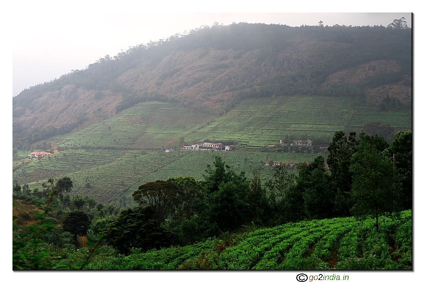 Hills and valley view near Ooty on the way from Dodda betta