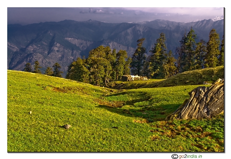 Green valley near Kedarkantha camp site during trekking