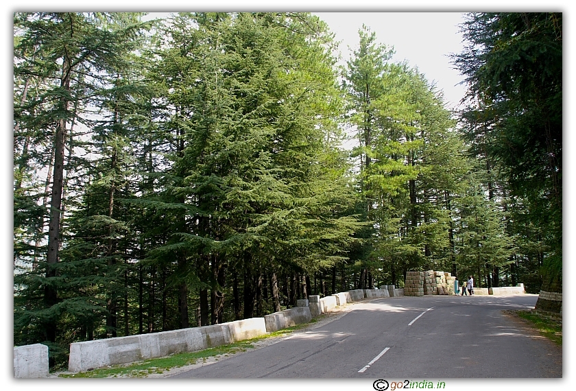 Travelling towards north of Shimla