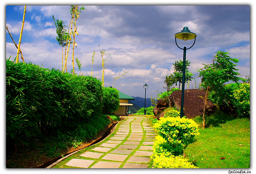 Green grass inside resort at Anantagiri