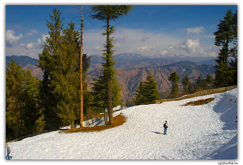 Kufri area near Shimla in winter