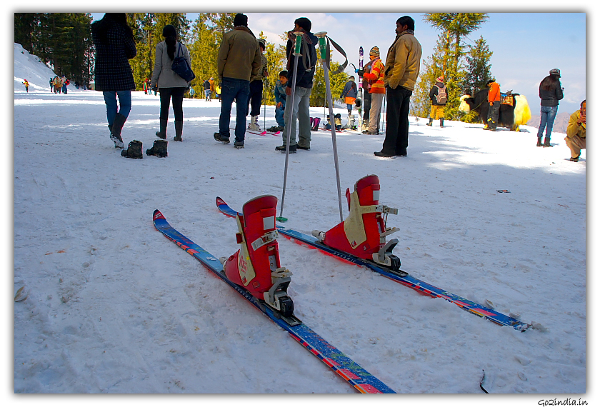 Skis  and Ski Poles at Kufri for tourists
