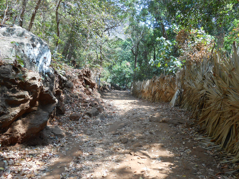 The path to waterfall maintained by locals 
