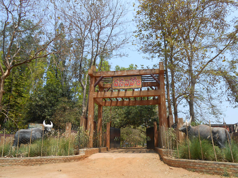 Entrance gate of Vanvihari at Maredumilli resort