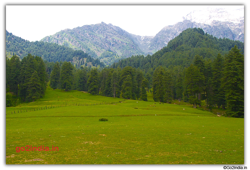 Green valley in Kashmir