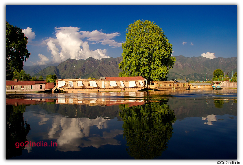 More Houseboats in Dal Lake 