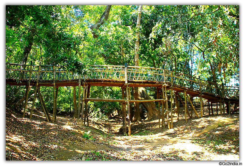 Bamboo bridge to cross small water streams in Kuruva Island