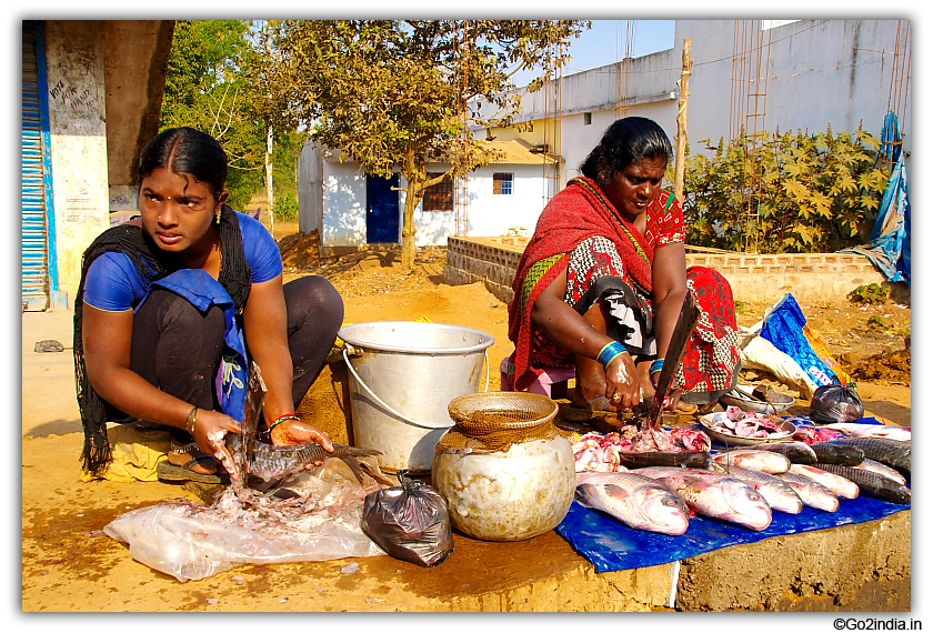 Selling fish from Padwa Lake