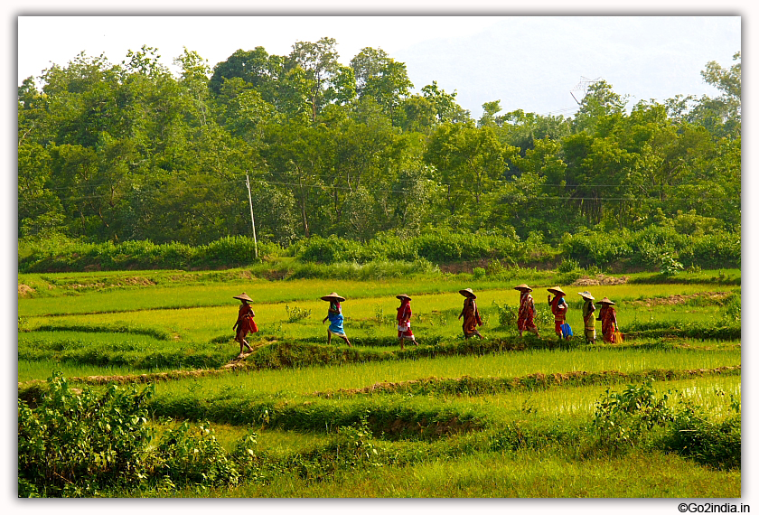 Agriculture is the main source of income for rural India