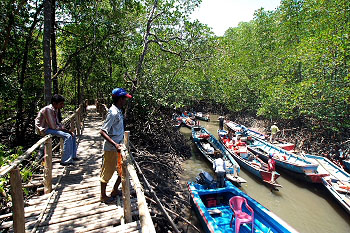 end of mangrove journey