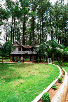 Huts at tree top