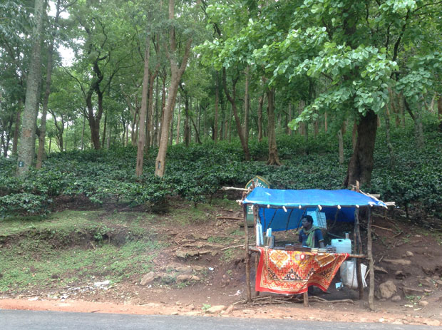 Coffee stalls on the way to Araku at Anantagiri